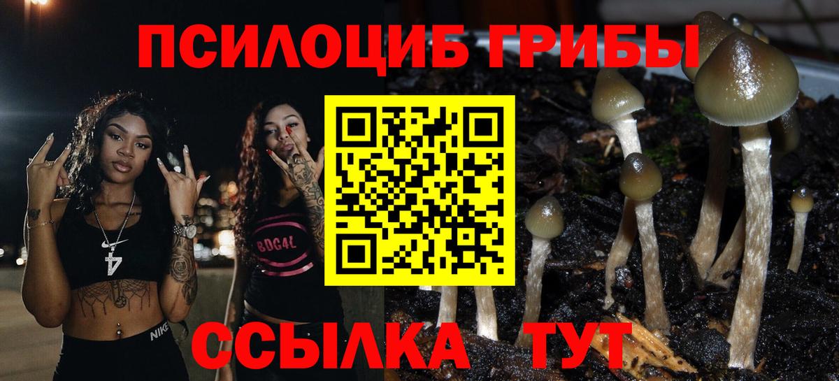Гусиноозёрск  Галлюциногенные грибы мухоморы  Галлюциногенные грибы MAGIC MUSHROOMS  Вход с VPN 